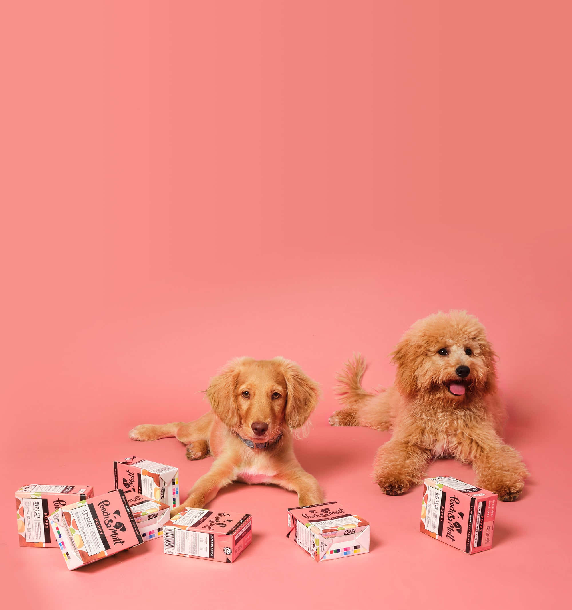 puppies, pink background, pink pet food boxes, Full HD Phone Wallpaper