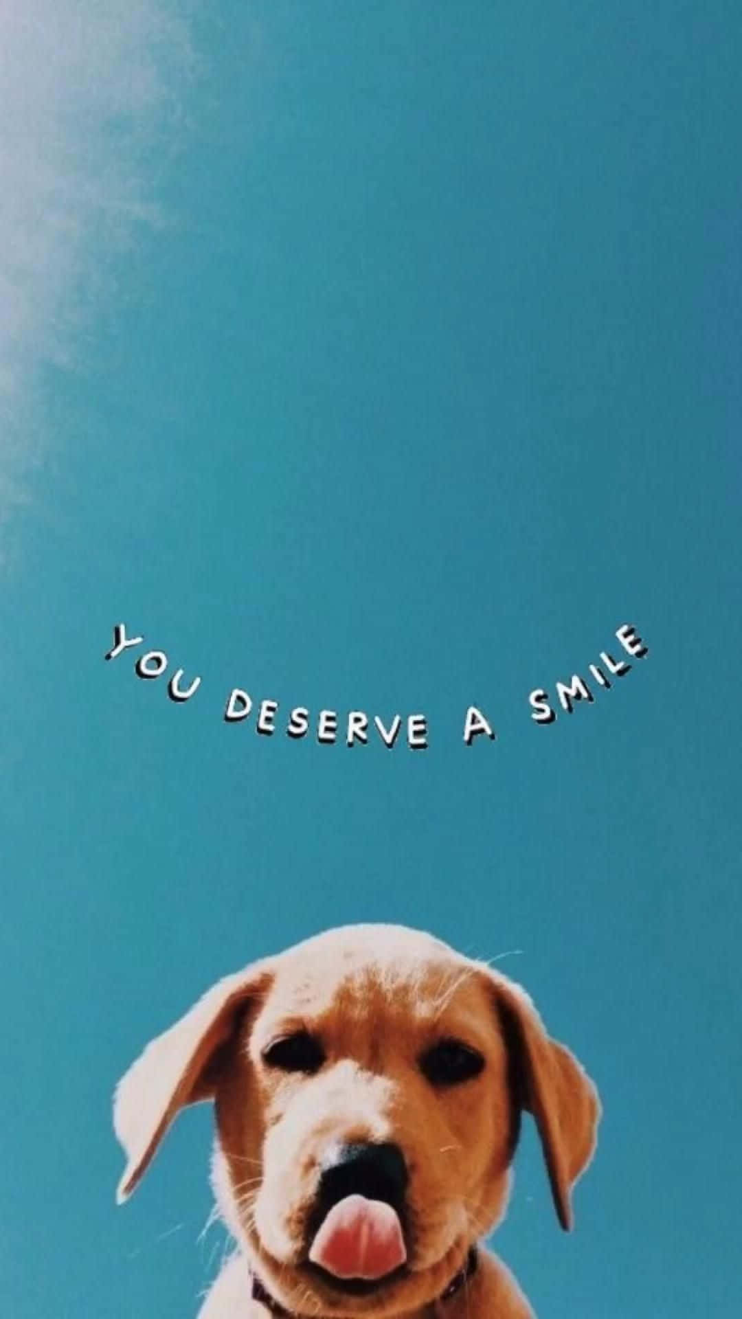 golden puppy, clear blue sky, you deserve a smile, Full HD Phone Wallpaper