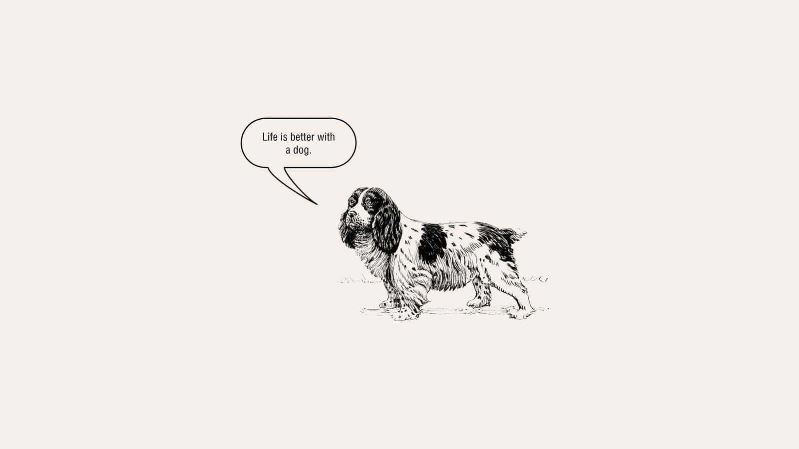 spaniel, black and white sketch, speech bubble, HD Desktop Wallpaper