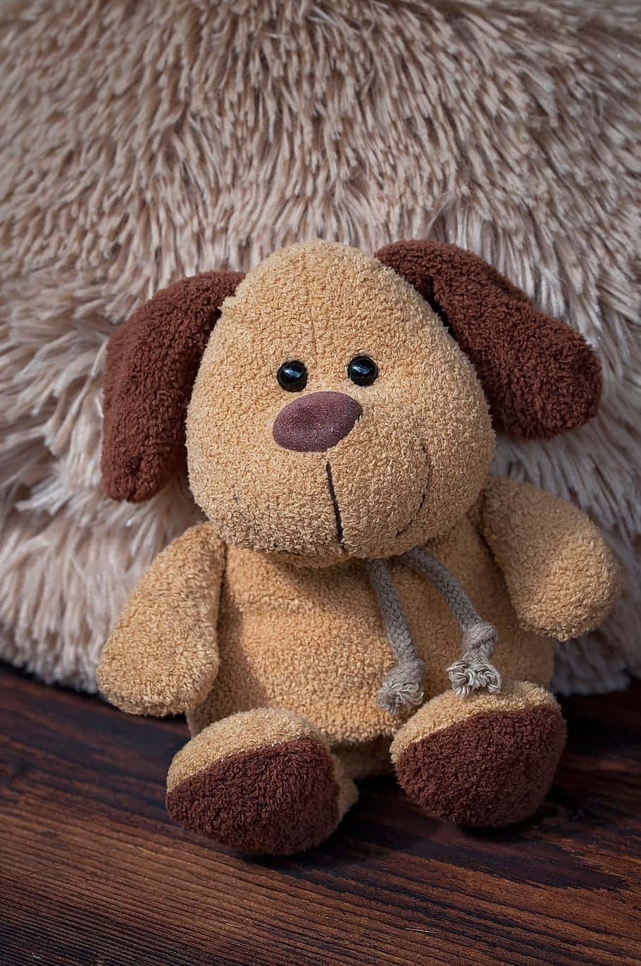 fluffy tan plush dog toy, brown ears, brown paws, HD Phone Wallpaper