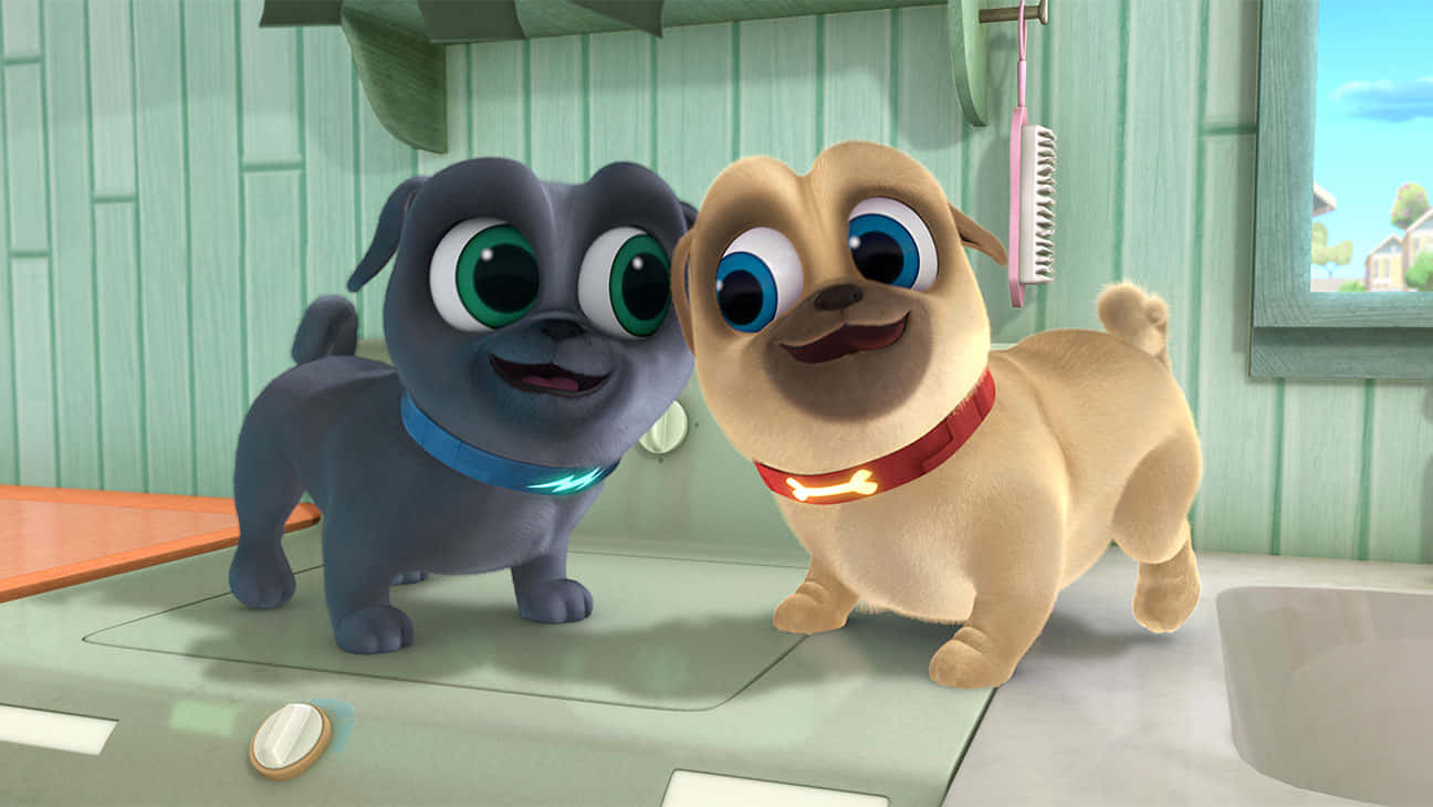 Puppy Dog Pals, pug puppies, oversized eyes, HD Desktop Wallpaper
