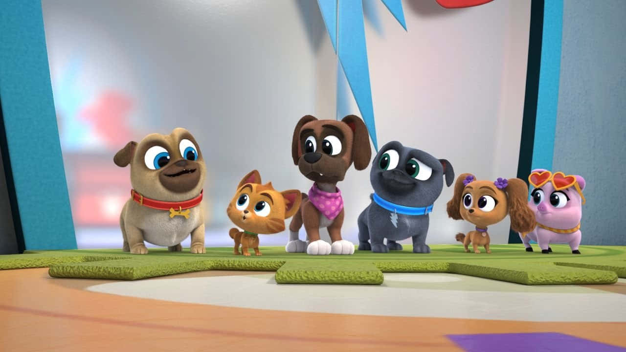 Puppy Dog Pals, animated animal characters, big eyes, HD Desktop Wallpaper