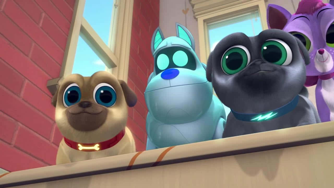 Puppy Dog Pals, animated pets, big eyes, HD Desktop Wallpaper
