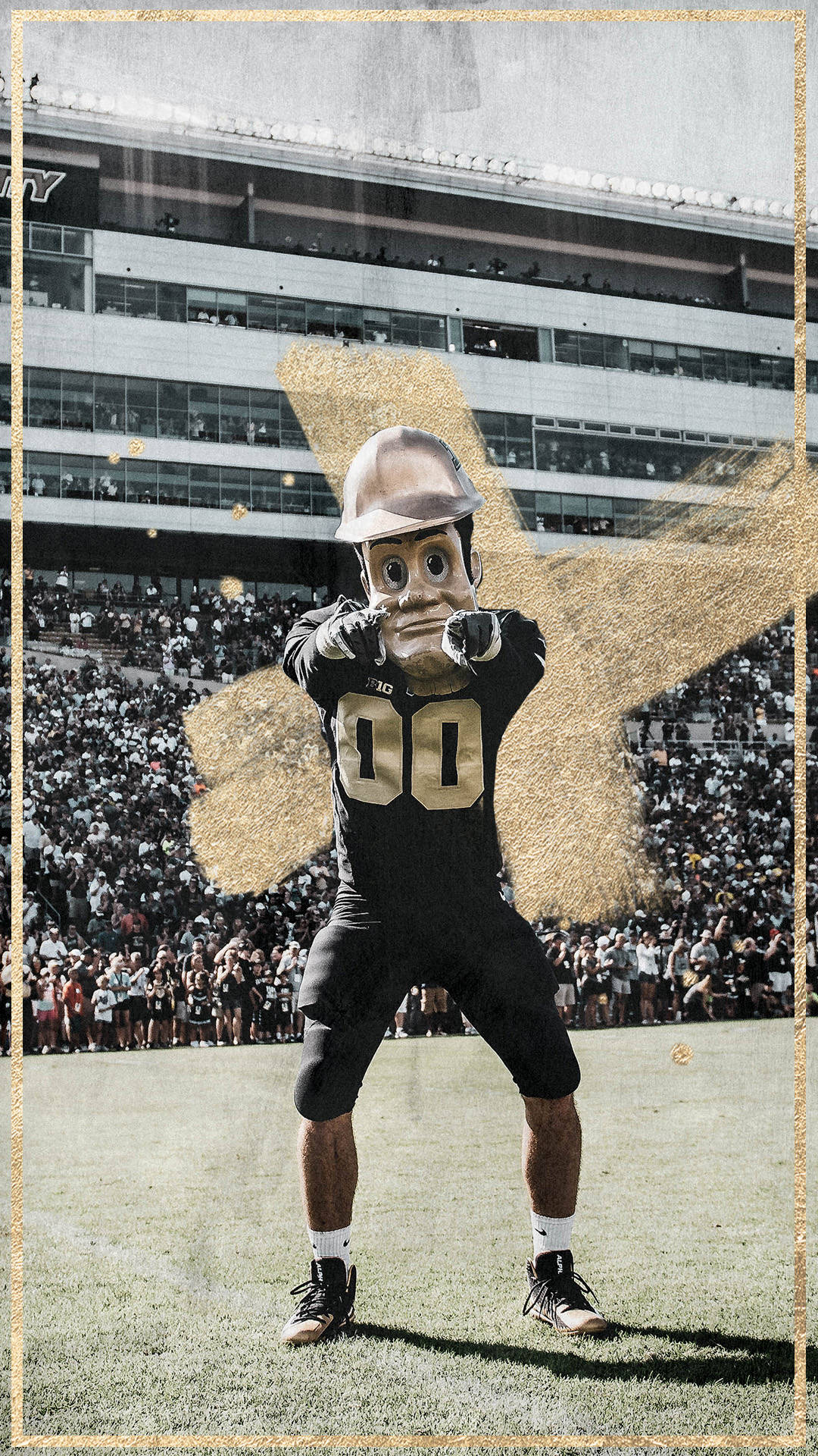 Purdue University Stadium, mascot, black and gold uniform, Full HD Phone Wallpaper