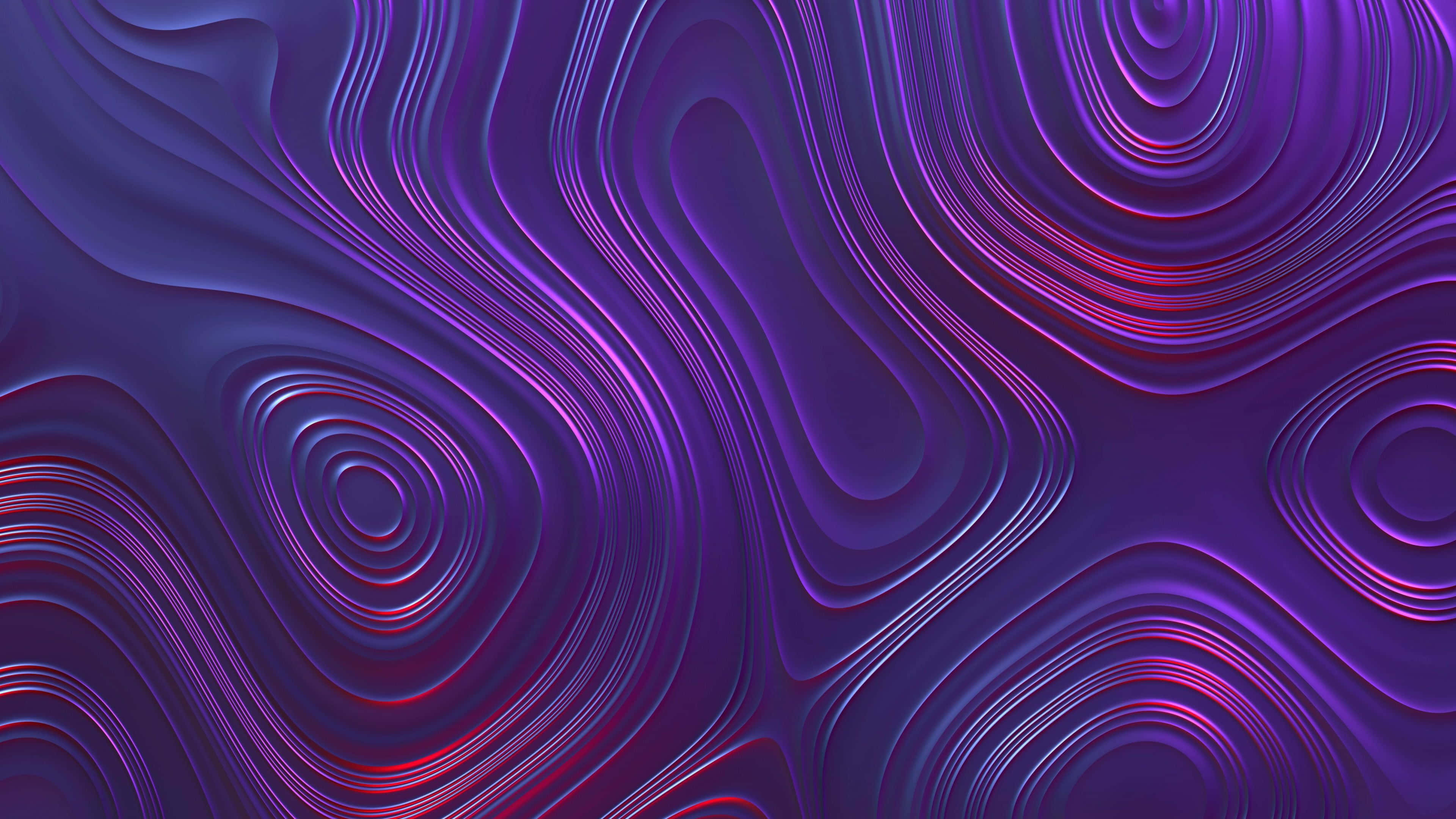 bright purple, pink neon waves, glossy abstract surface, 4K Desktop Wallpaper