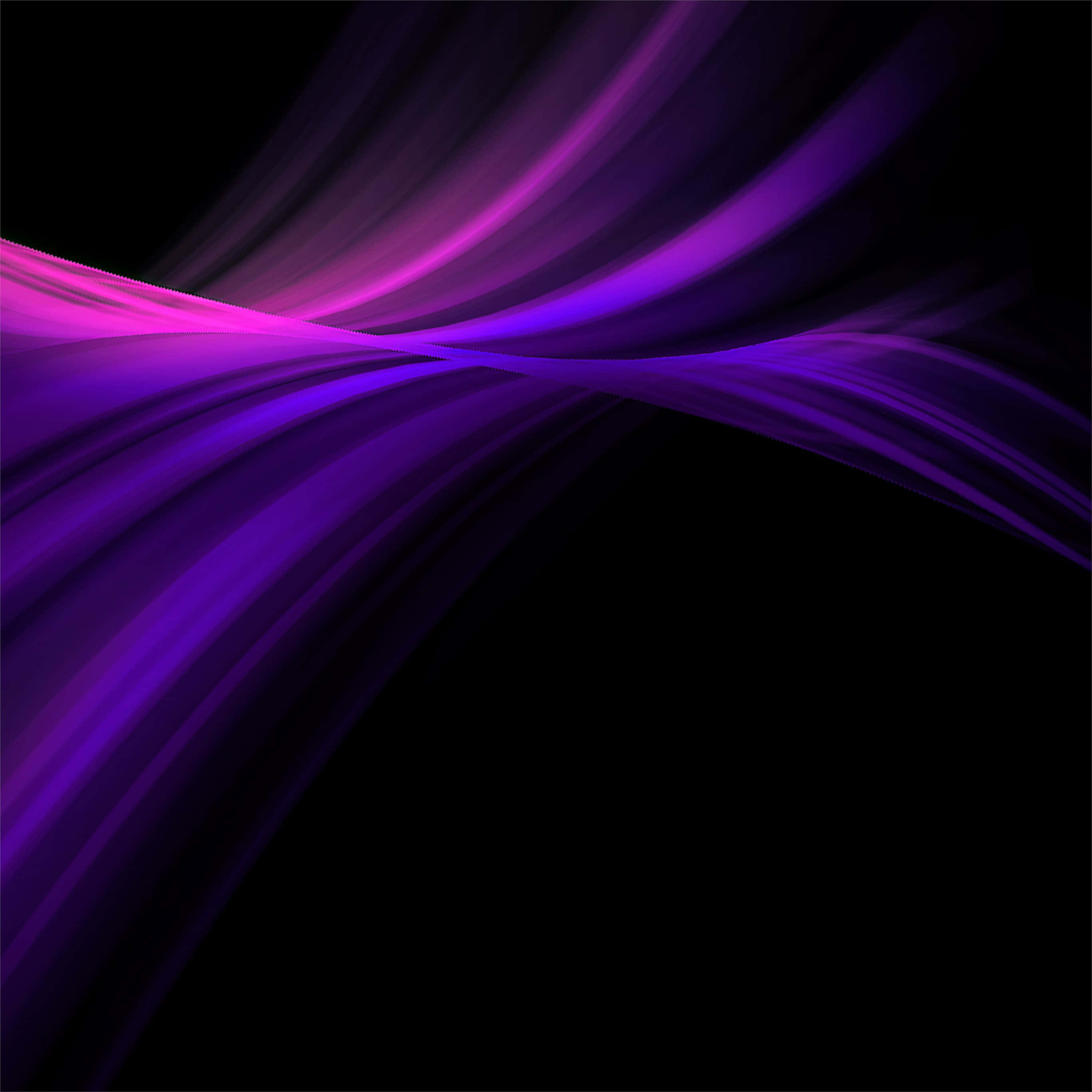 purple, pink, black, 2K Desktop Wallpaper