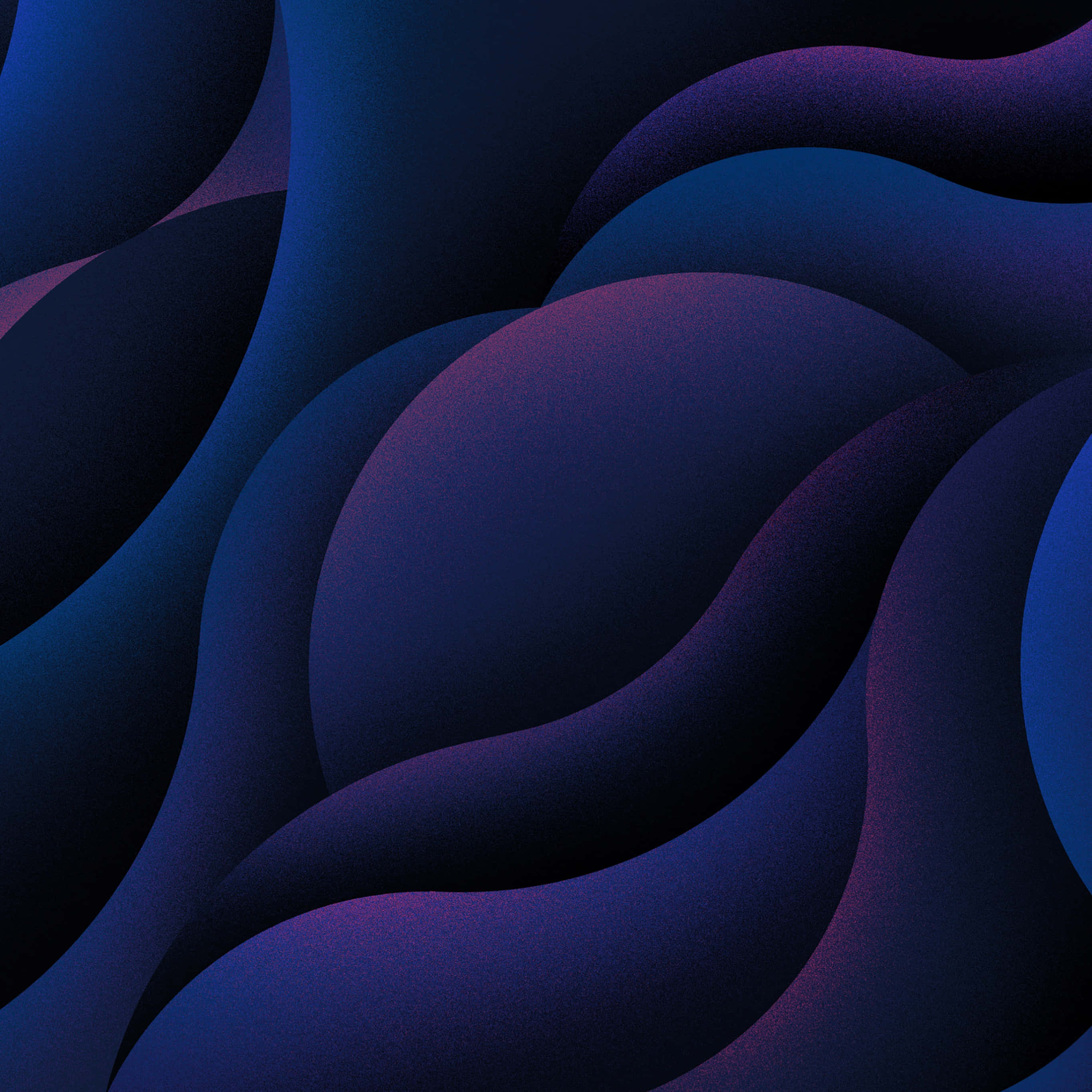 deep blue, purple, smooth flowing waves, 2K Desktop Wallpaper