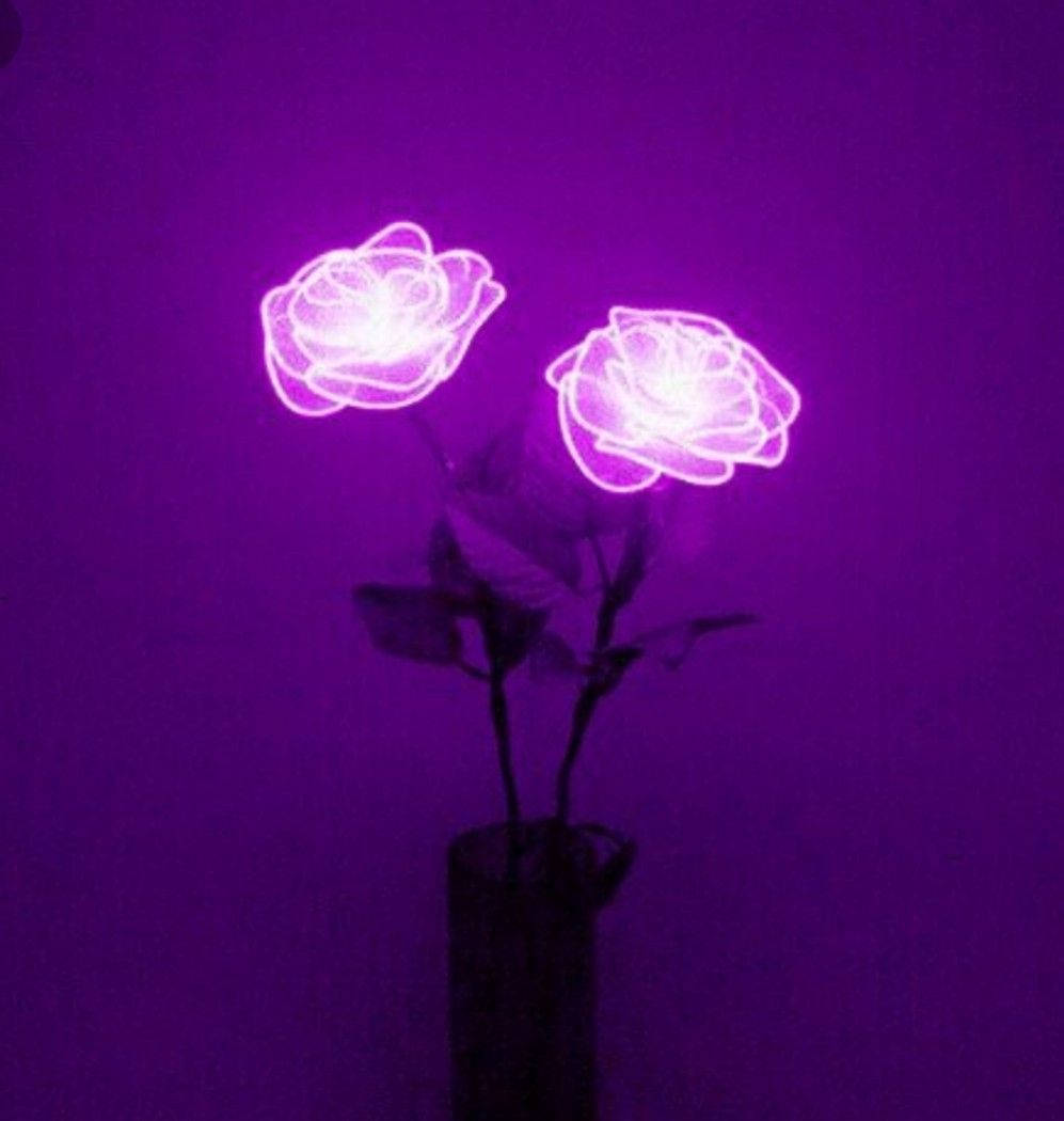 Purple Aesthetic Phone, neon roses, dark vase, SD Phone Wallpaper