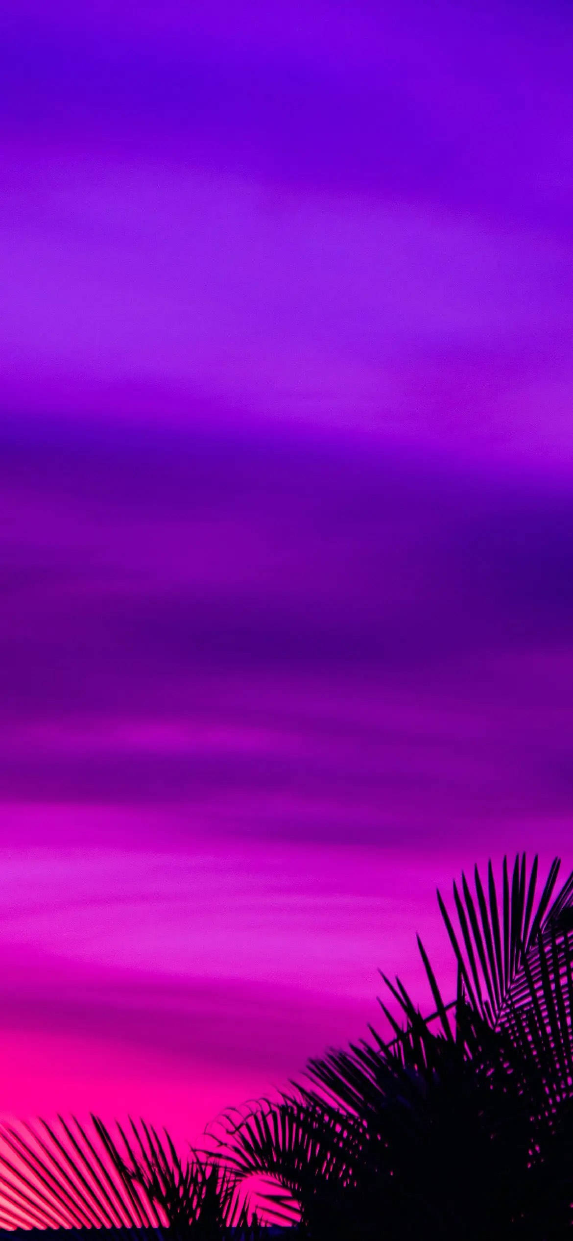 Purple Aesthetic Phone, sunset, palm tree, Full HD Phone Wallpaper