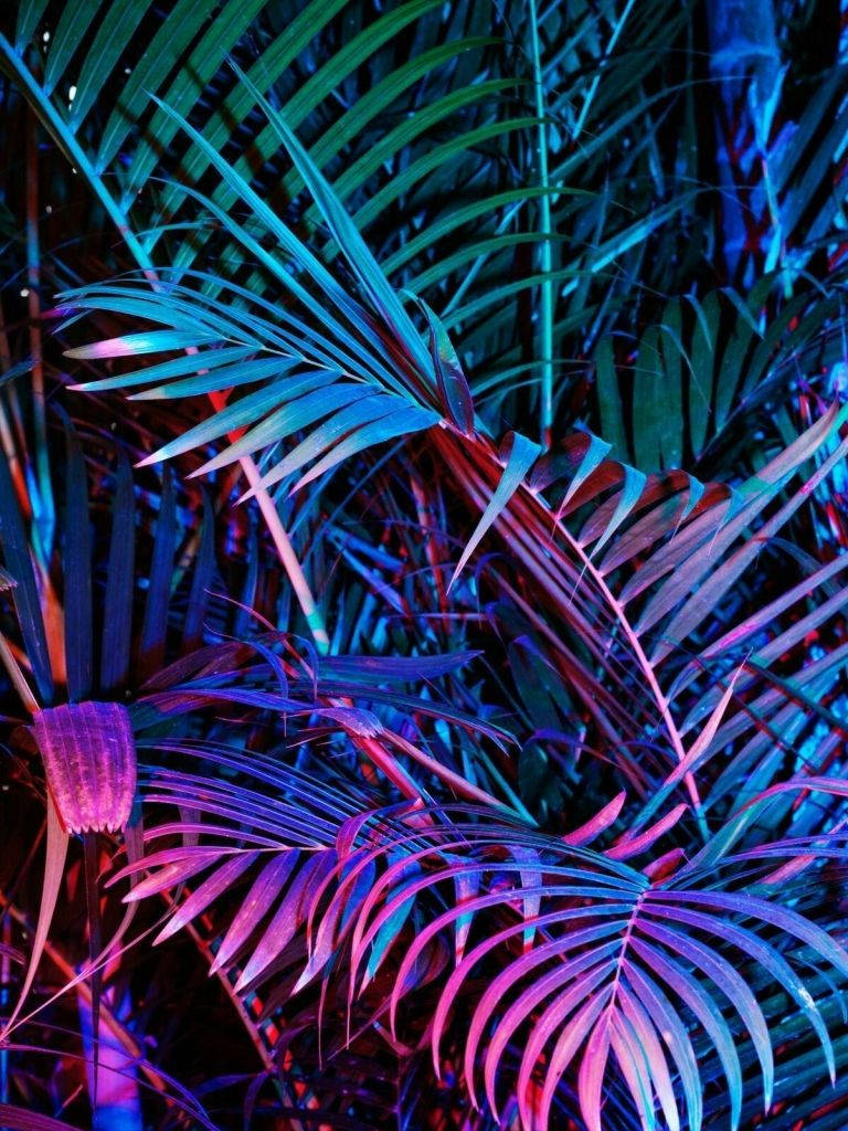 Purple Aesthetic Phone, neon blue, pink, SD Phone Wallpaper