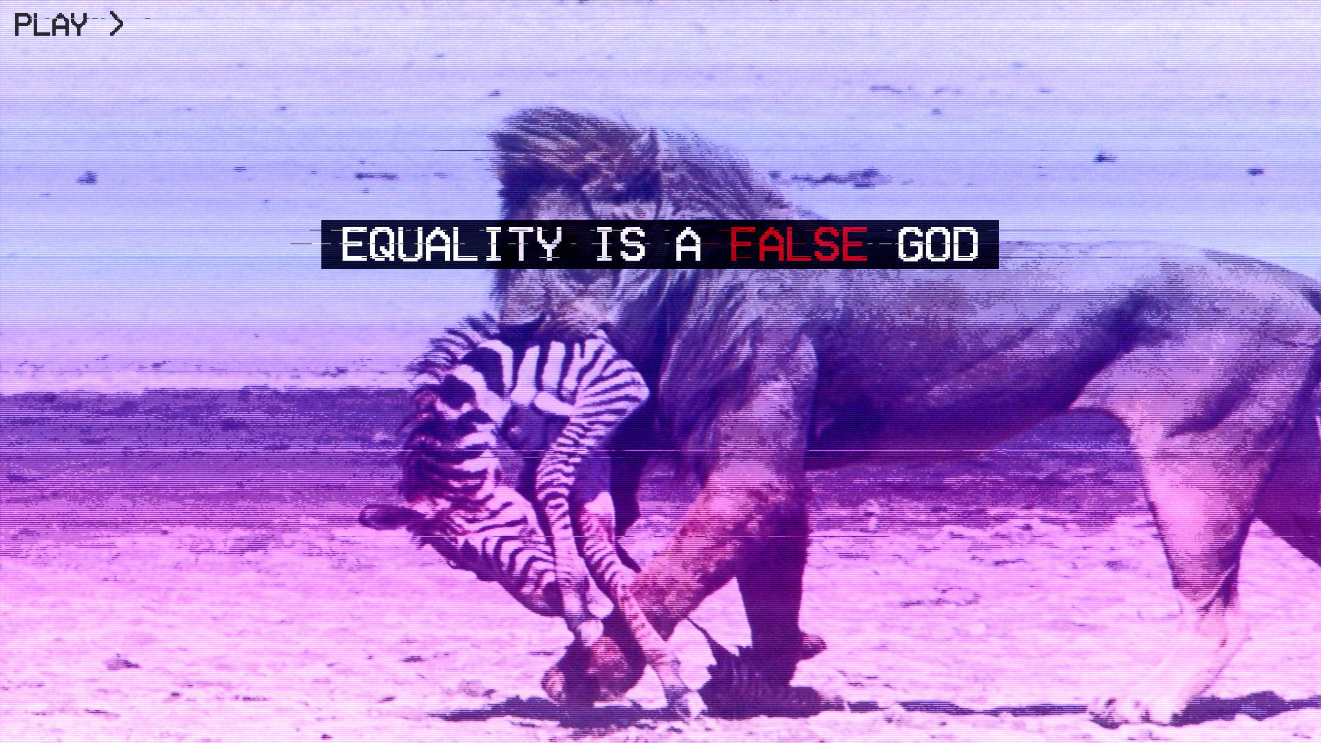 lion, zebra, glitchy purple-tinted savanna, Full HD Desktop Wallpaper