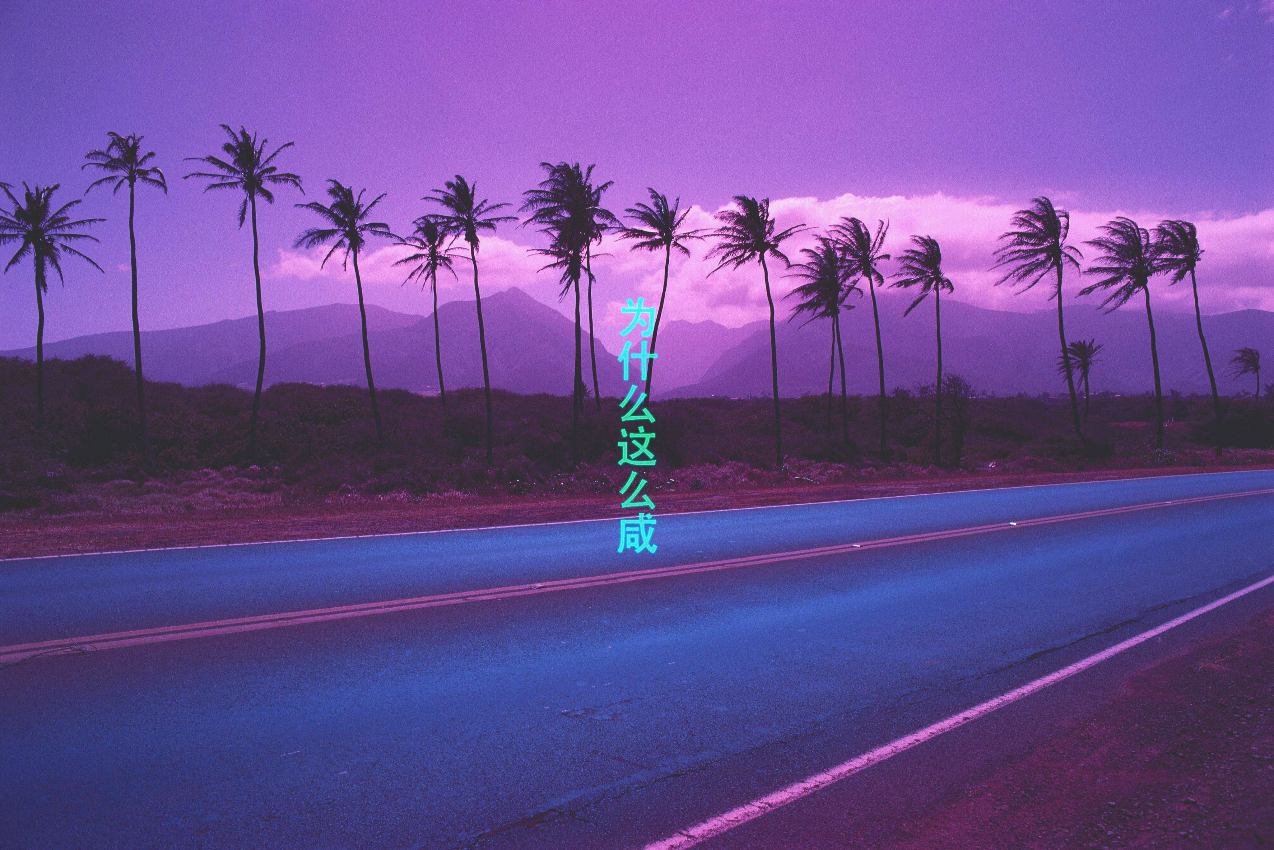 Coconut Purple Aesthetic Tumblr Laptop, purple sky, palm trees, 4K Desktop Wallpaper