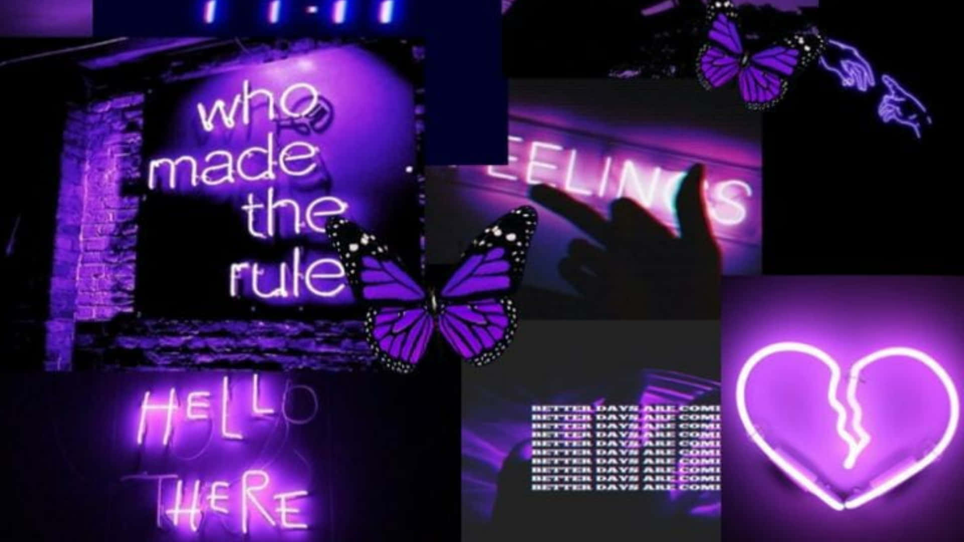 purple neon signs, butterflies, dark walls, Full HD Desktop Wallpaper