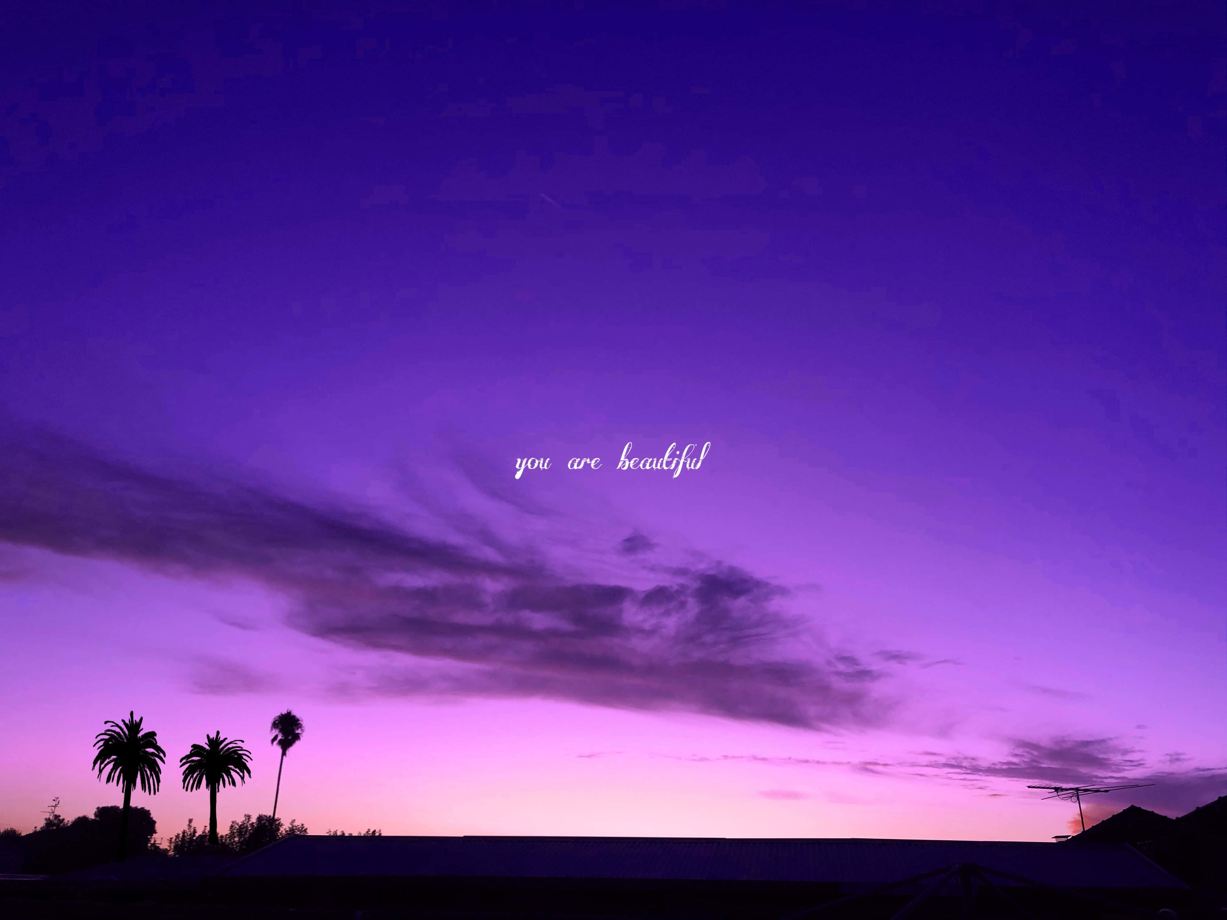 purple sky, palm trees, twilight sky, 4K Desktop Wallpaper