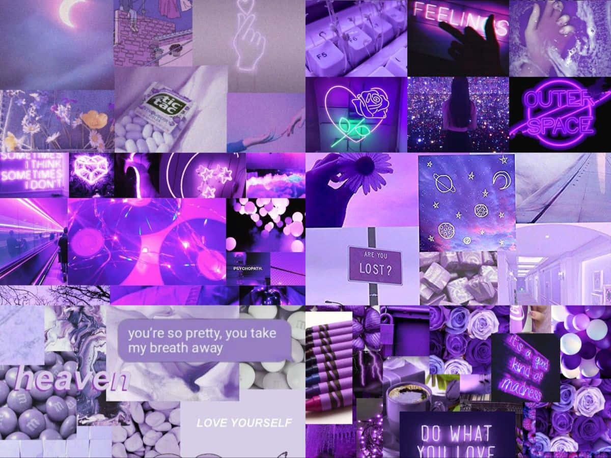 purple aesthetics computer, neon signs, roses, SD Desktop Wallpaper