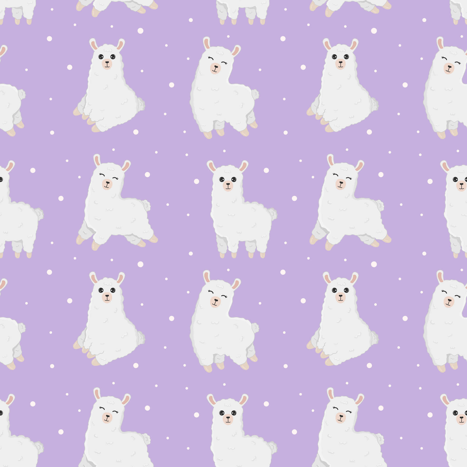 white alpacas, pink ears, blush cheeks, Full HD Desktop Wallpaper