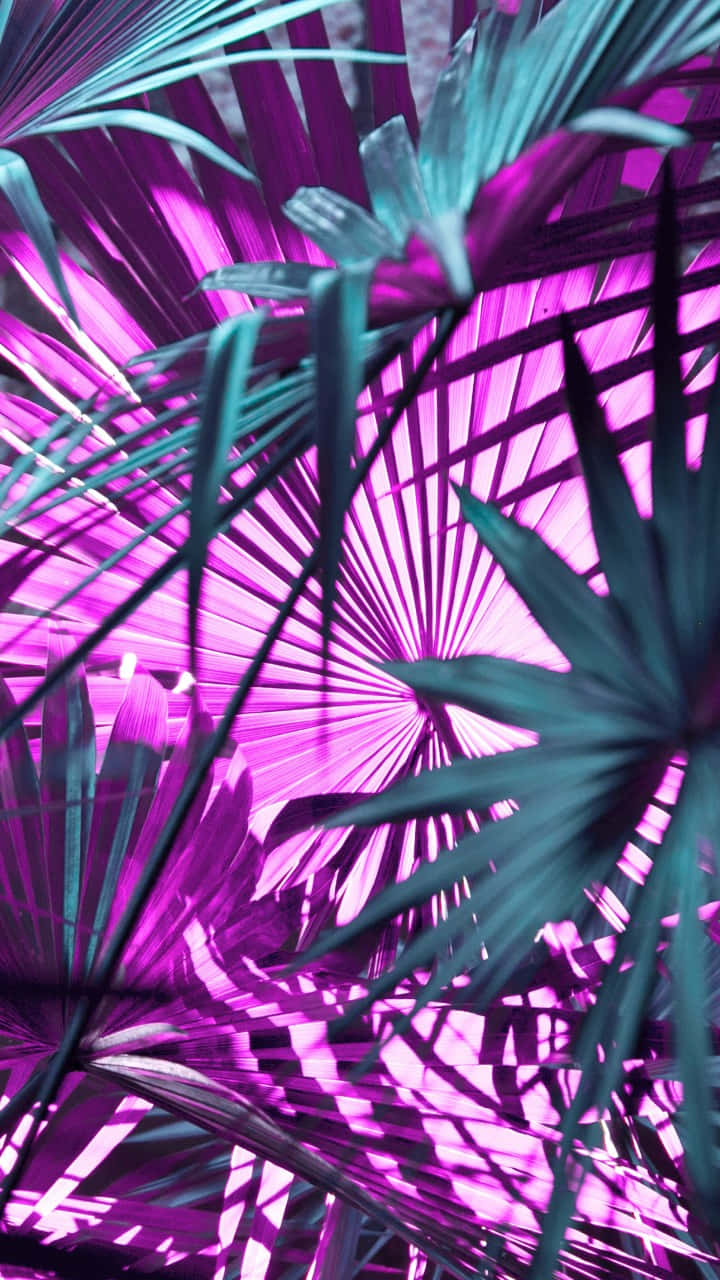 neon green, purple, teal palm fronds, HD Phone Wallpaper