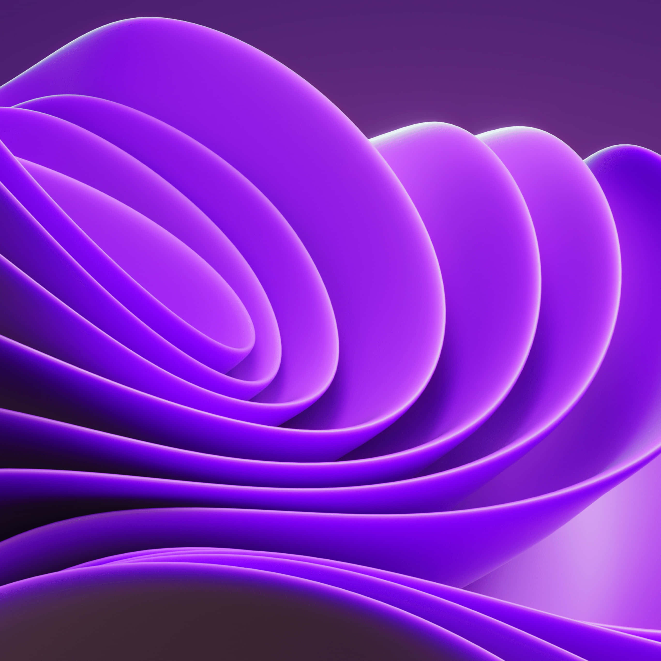 purple abstract, glowing purple waves, mesmerizing spiral, 2K Desktop Wallpaper