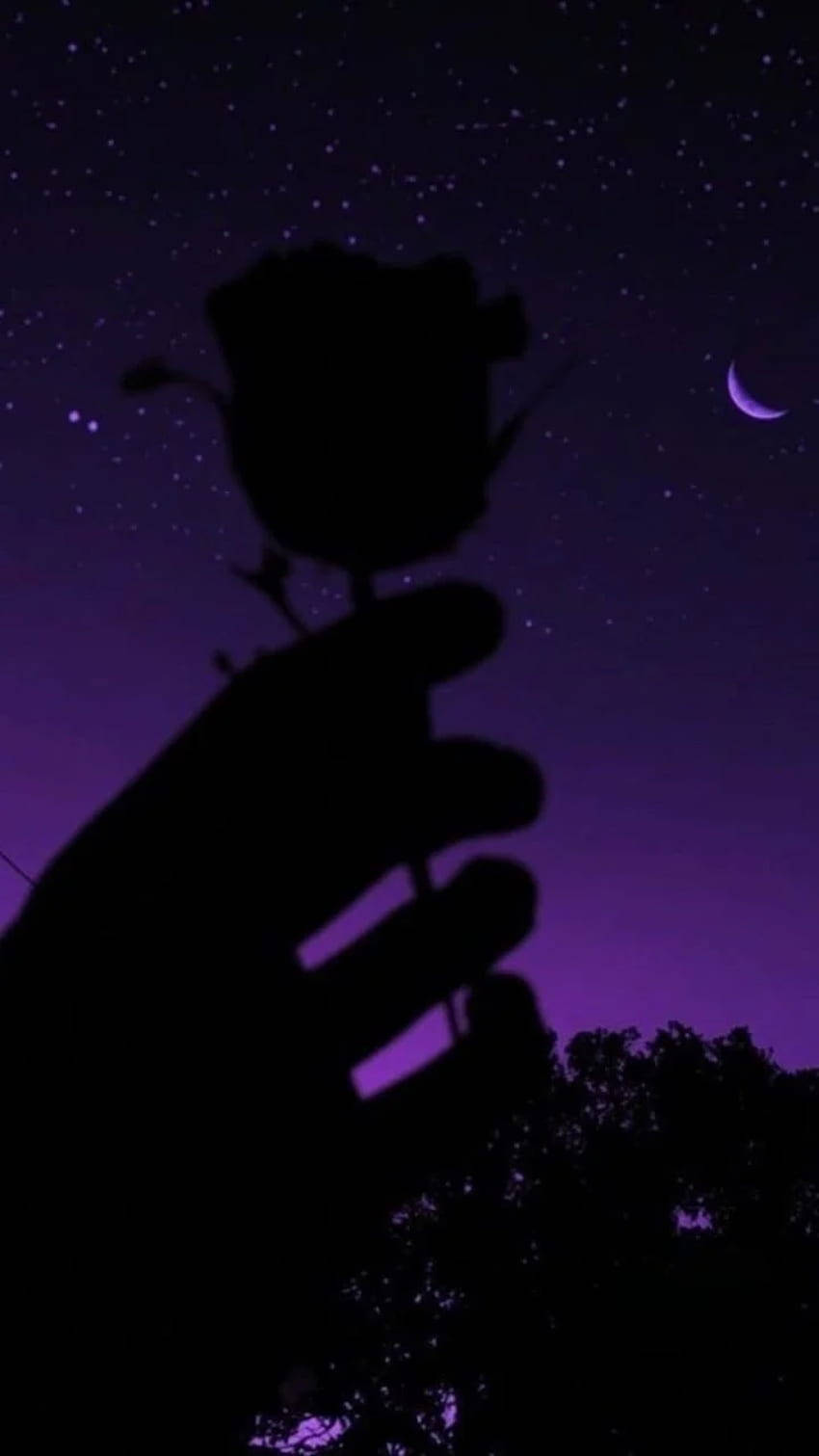 purple baddie, rose silhouette, starry purple night sky, HD Phone Wallpaper