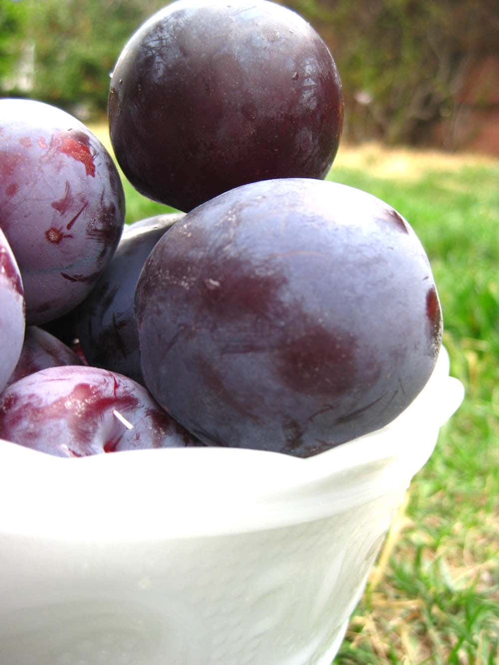 Purple Plums, dark purple plums, white ceramic bowl, HD Phone Wallpaper