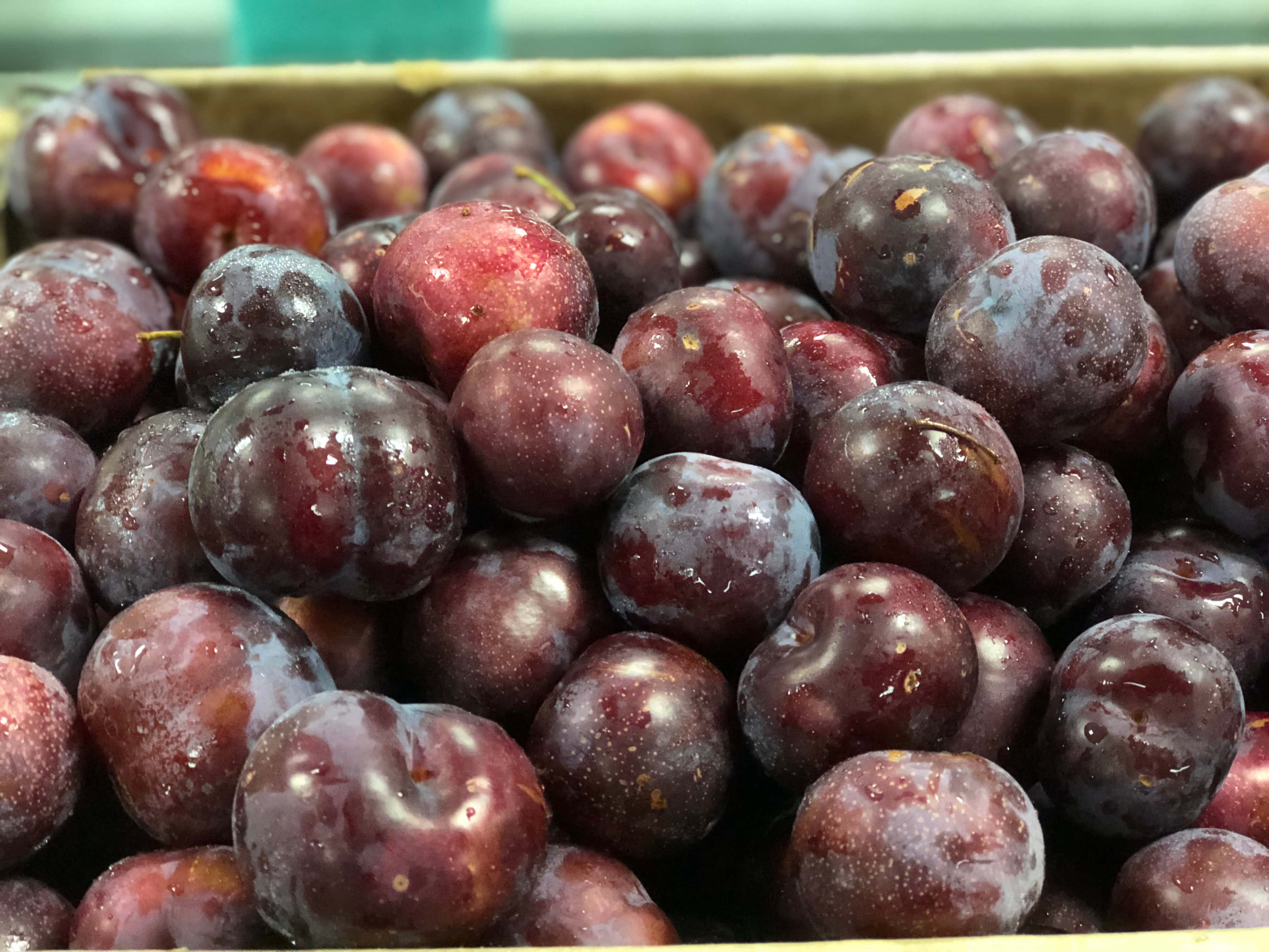 purple plums, dark purple plums, deep green background, 4K Desktop Wallpaper