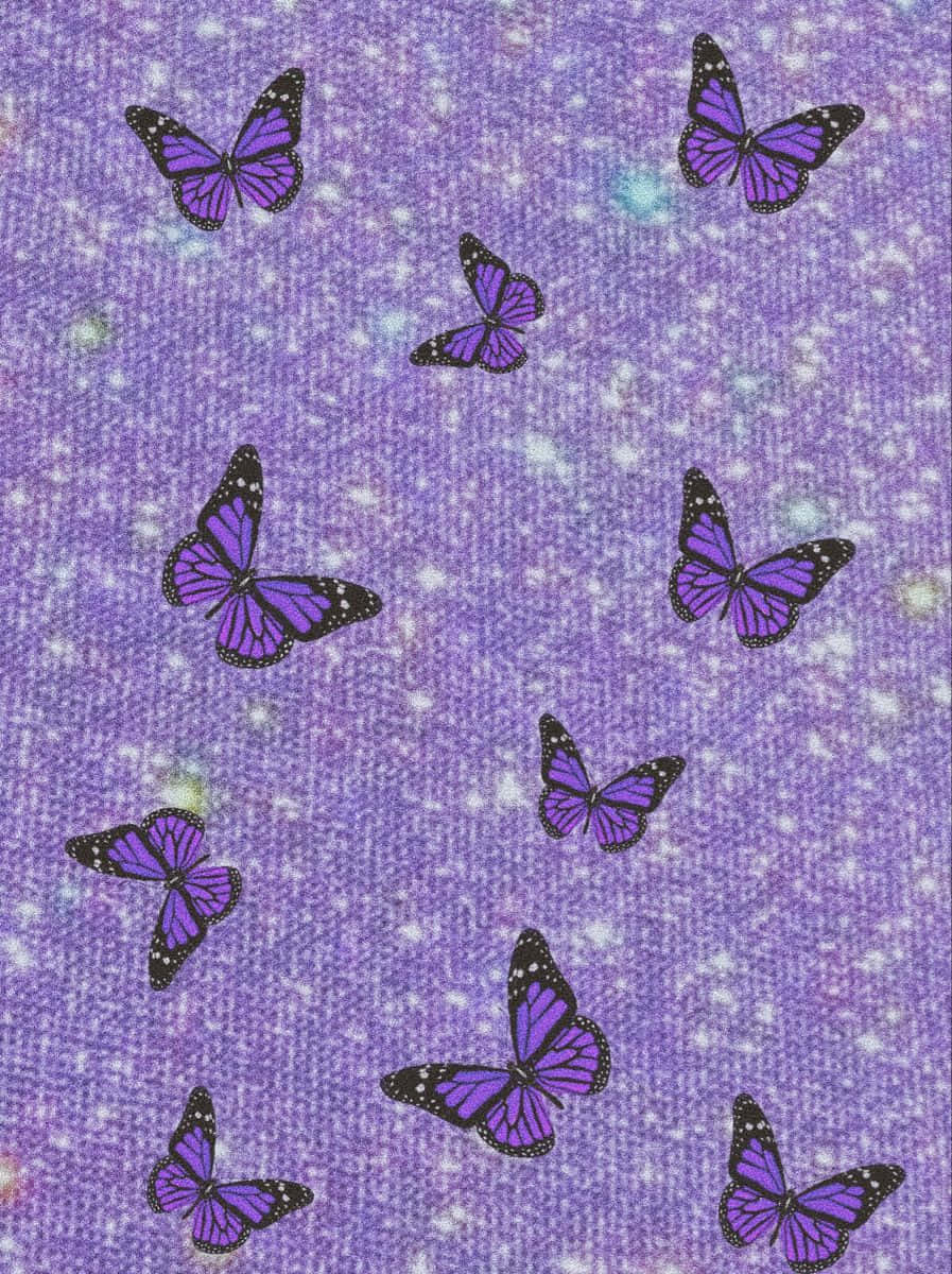 Purple Butterfly iPhone, purple butterflies, black edges, SD Phone Wallpaper