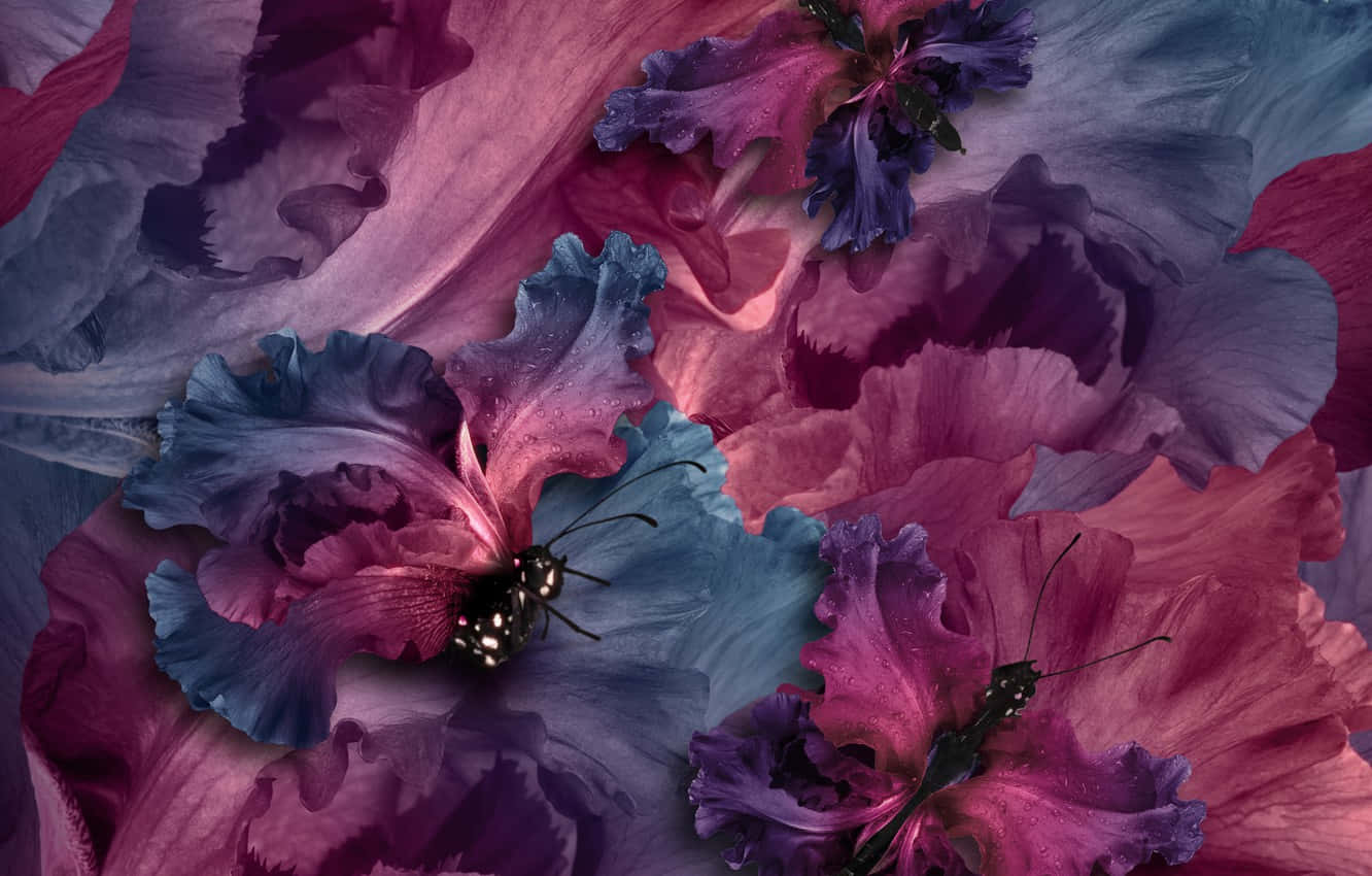 purple butterfly, iPhone, vibrant purple, HD Desktop Wallpaper