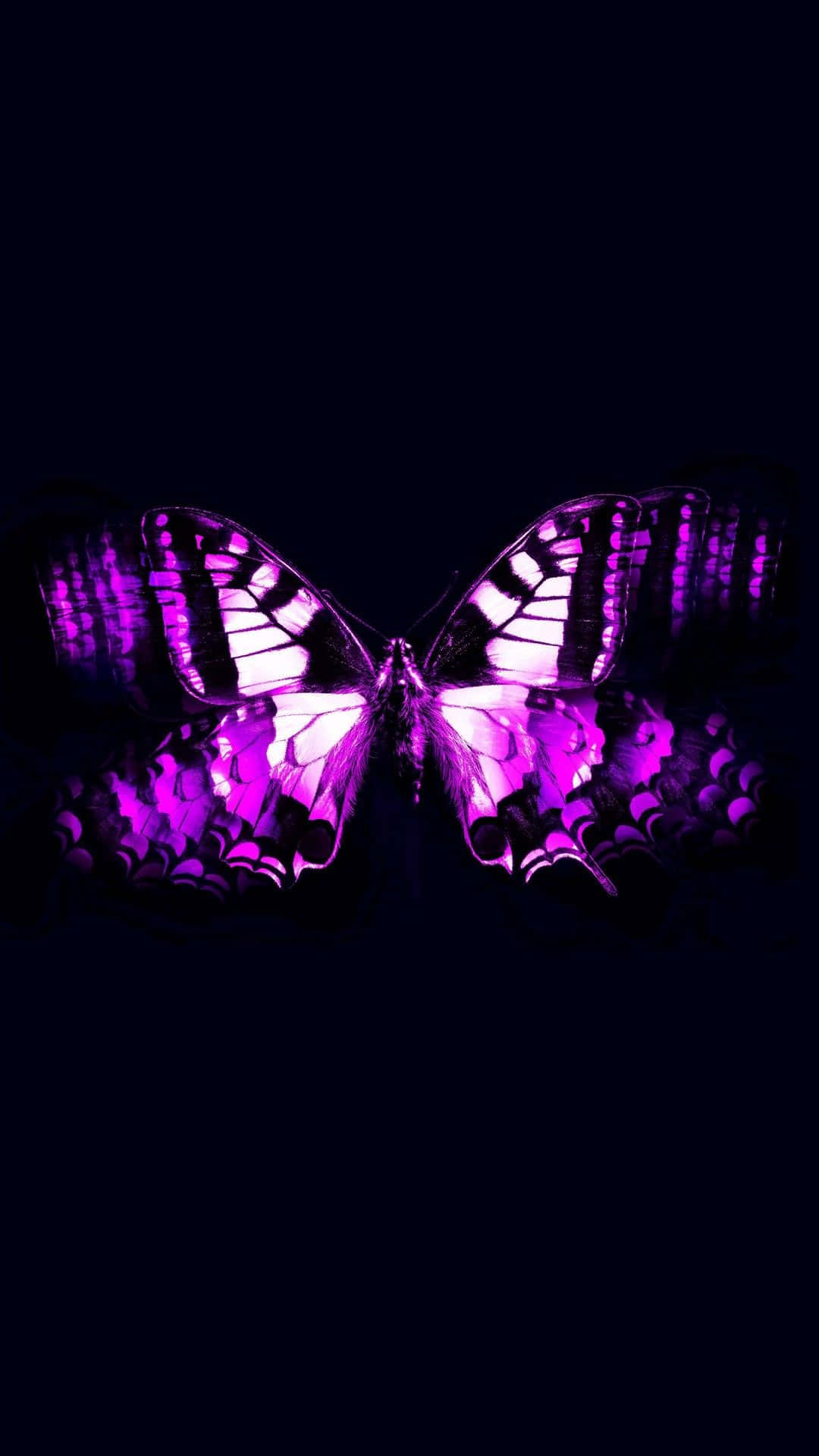 Purple Butterfly, iPhone, glowing purple butterfly, Full HD Phone Wallpaper