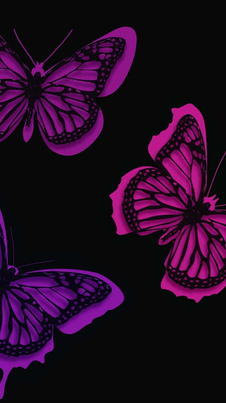 Purple Butterfly iPhone, vibrant purple butterflies, black veining, HD Phone Wallpaper