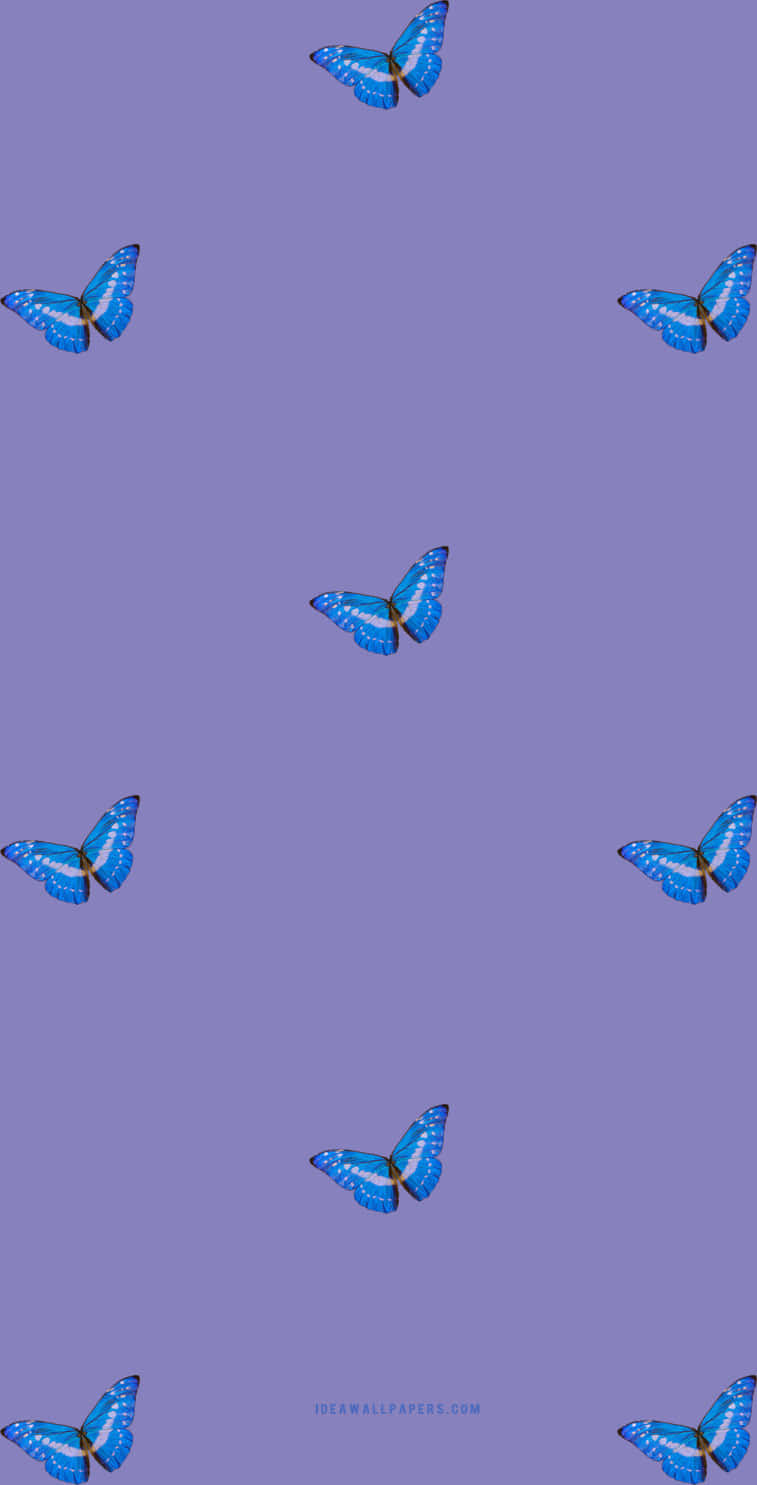 Purple Butterfly iPhone, blue butterflies, soft lavender background, HD Phone Wallpaper