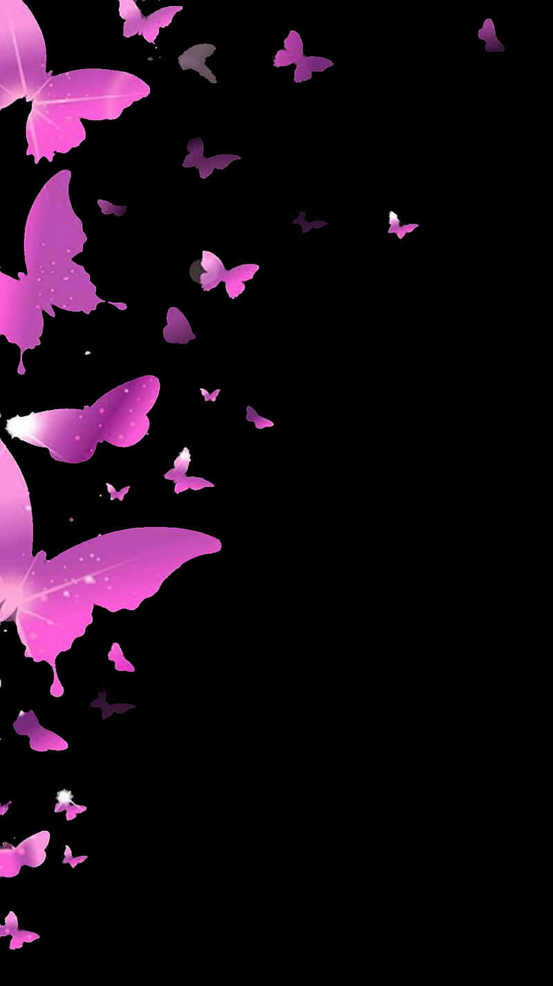 Purple Butterfly iPhone, vibrant pink butterflies, stark black background, HD Phone Wallpaper