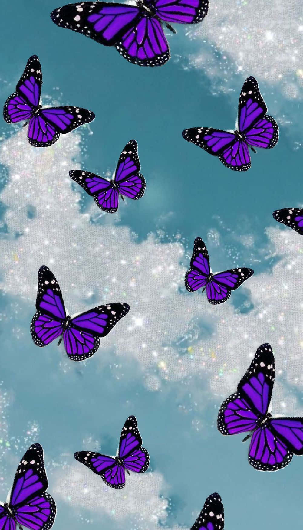 Purple Butterfly iPhone, vibrant purple butterflies, black and white accents, HD Phone Wallpaper
