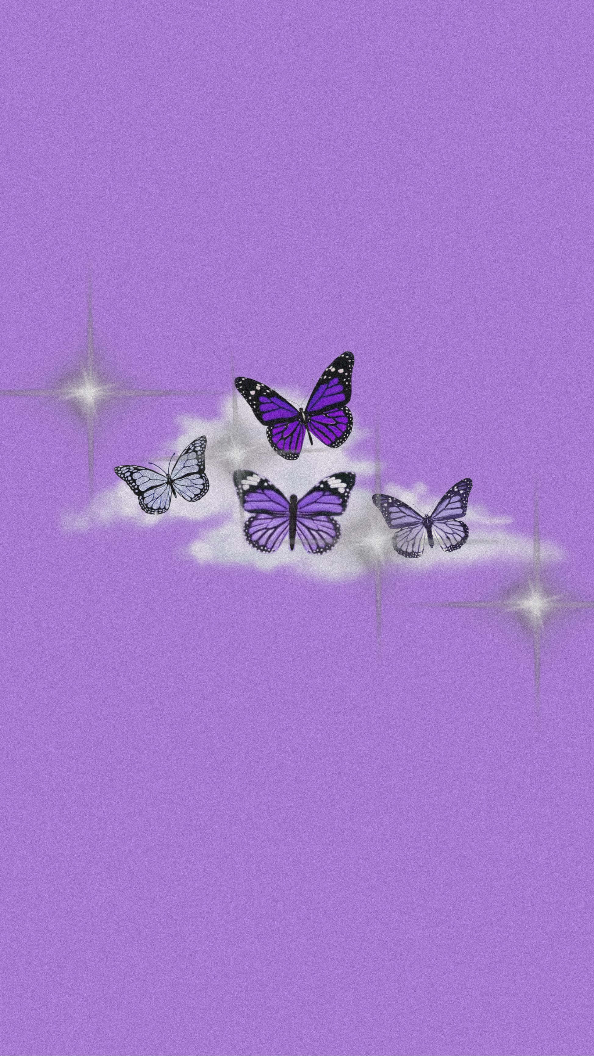 Purple Butterfly iPhone, purple and white butterflies, fluffy cloud, 2K Phone Wallpaper