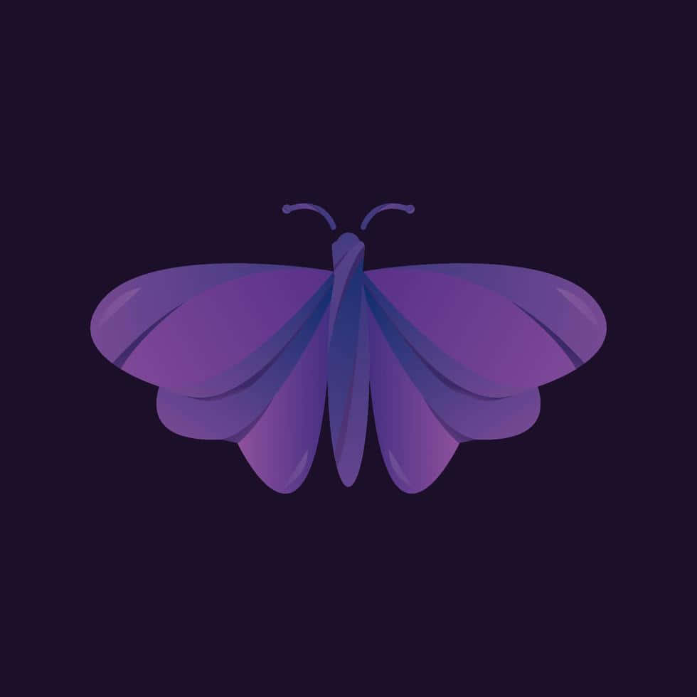 Purple Butterfly iPhone, purple butterfly, layered wings, SD Desktop Wallpaper