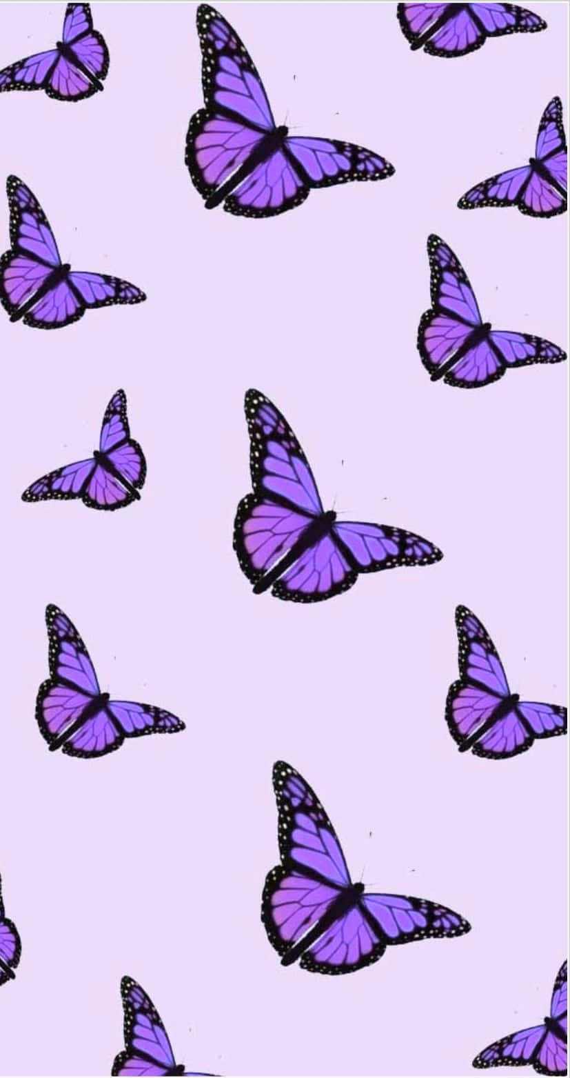 purple butterfly iPhone, purple butterflies, black outlines, HD Phone Wallpaper