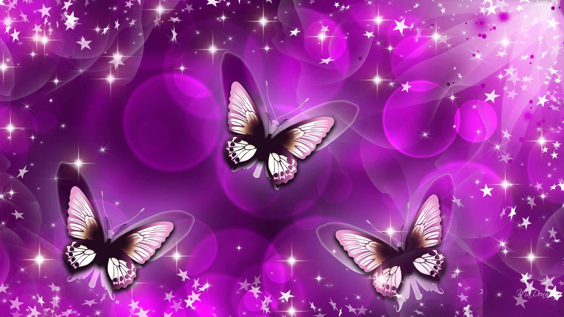 Purple Butterfly, iPhone, Full HD, Full HD Desktop Wallpaper