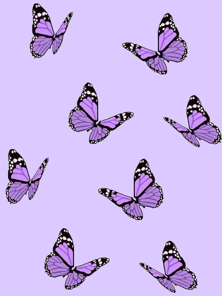 purple butterfly, iPhone, black butterflies, SD Phone Wallpaper