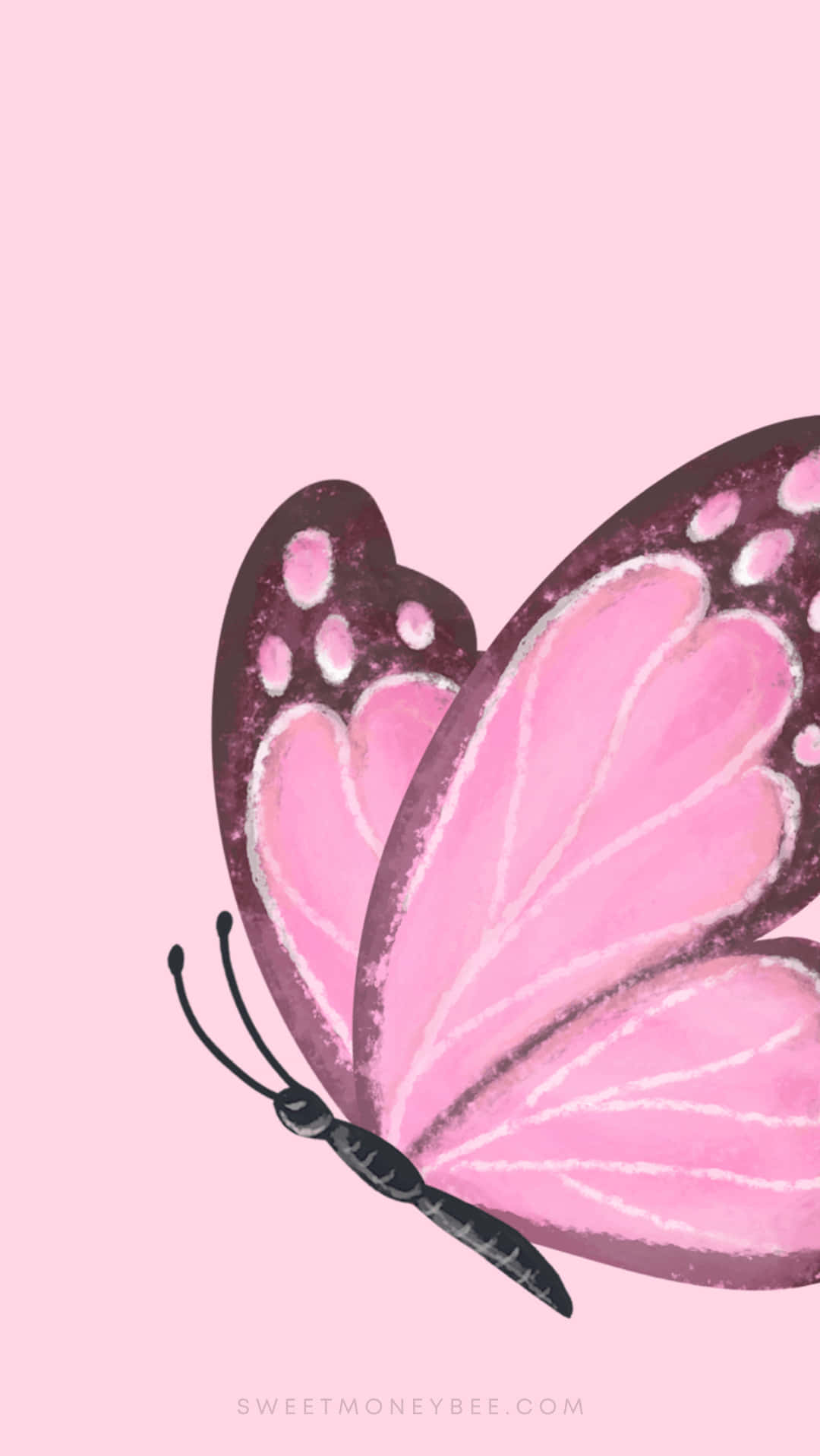 Purple Butterfly, iPhone, iridescent purple butterfly, HD Phone Wallpaper