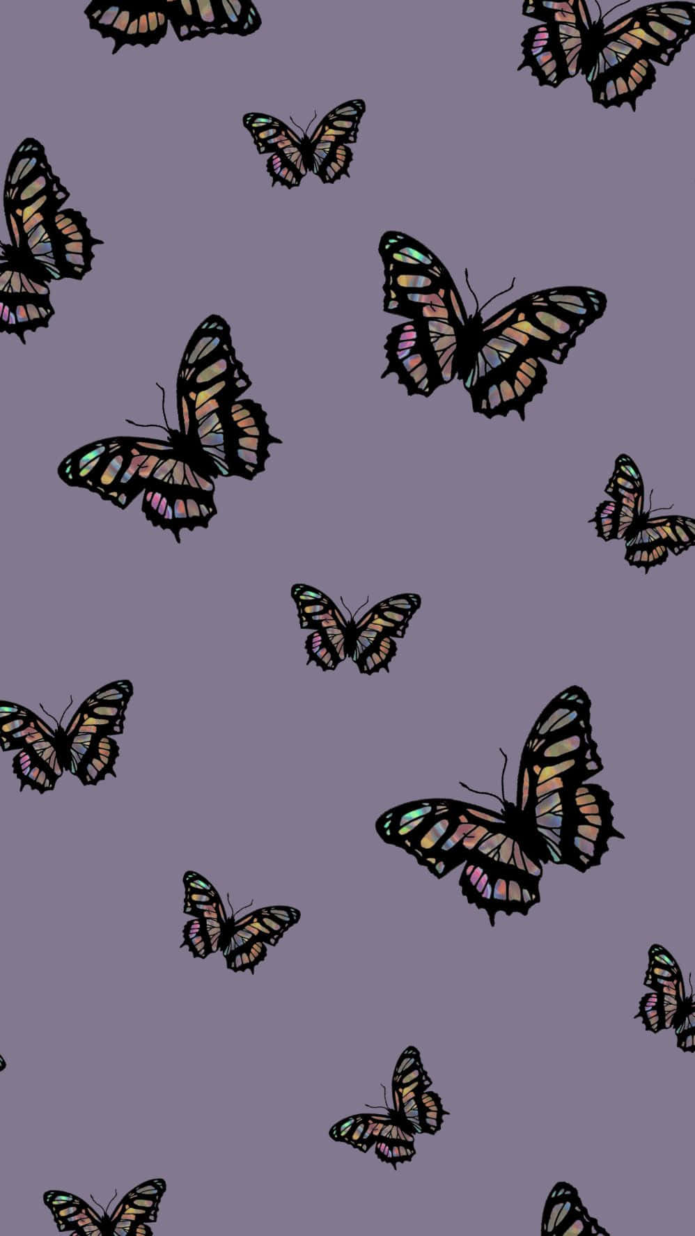 Purple Butterfly iPhone, iridescent butterflies, black outlines, HD Phone Wallpaper