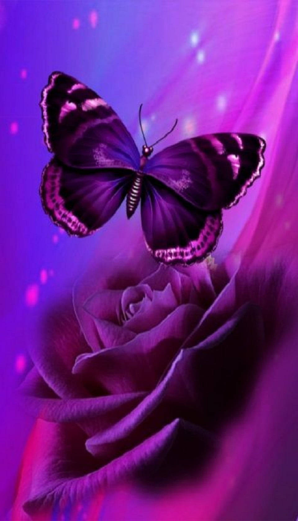 purple butterfly, magenta rose, cosmic purple background, HD Phone Wallpaper
