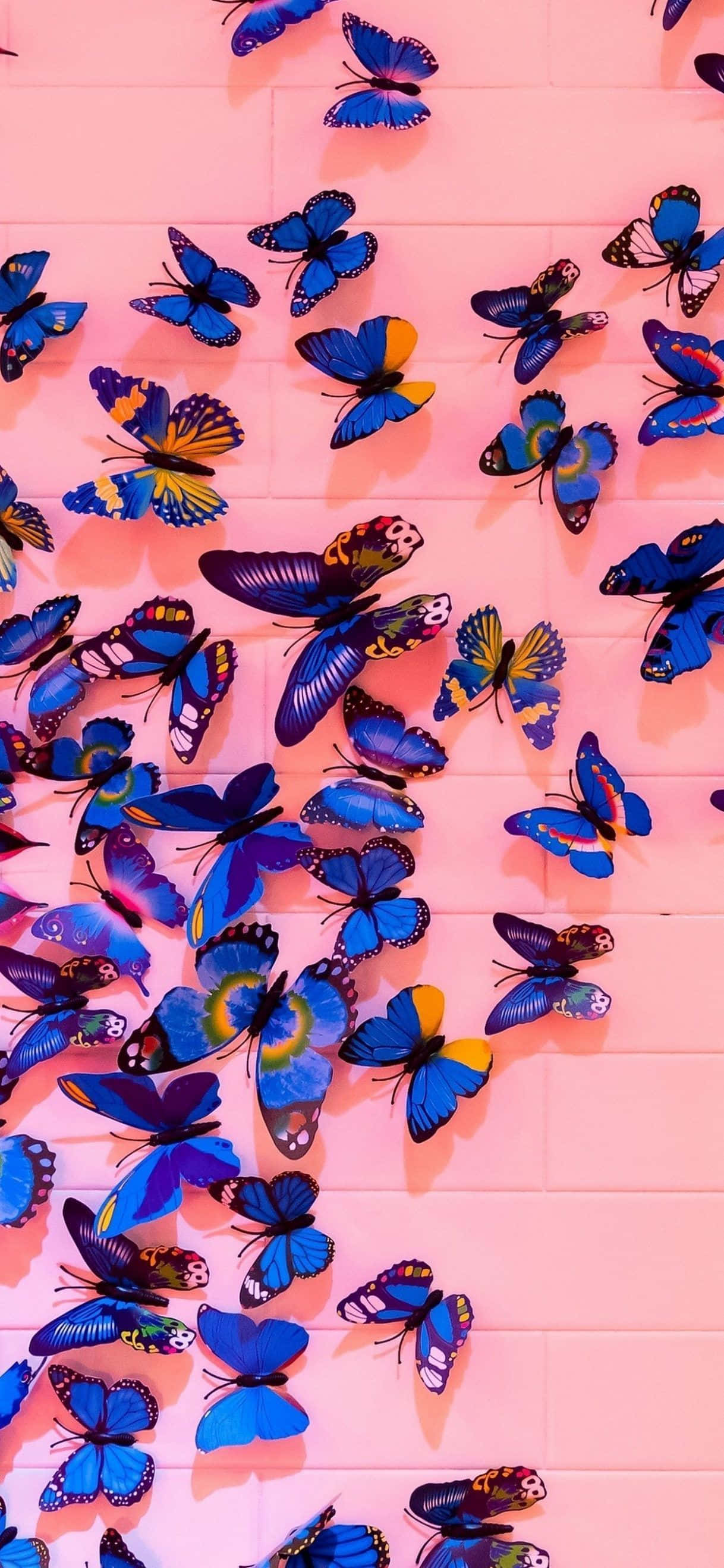 Purple Butterfly iPhone, iPhone 12, pink wall, 2K Phone Wallpaper