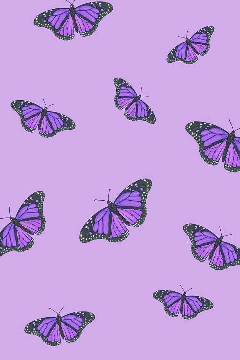 Purple Butterfly, black and white spotted wings, soft lavender background, SD Phone Wallpaper