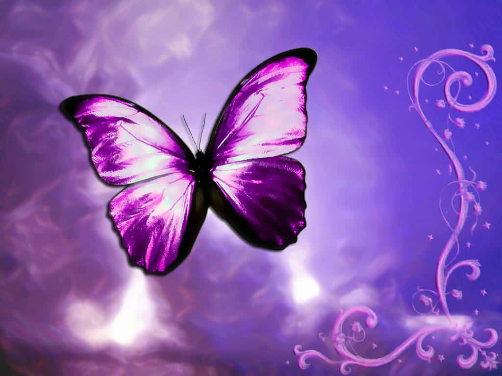 Purple Butterfly, glowing wings, swirling violet sky, SD Desktop Wallpaper