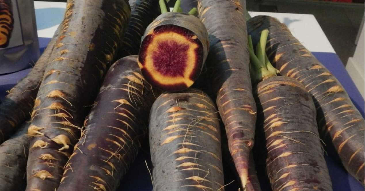 Purple Carrots, dark purple carrots, vibrant magenta core, SD Desktop Wallpaper
