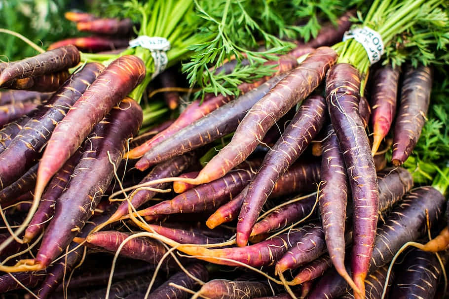 Purple Carrots, fresh purple carrots, green tops, SD Desktop Wallpaper