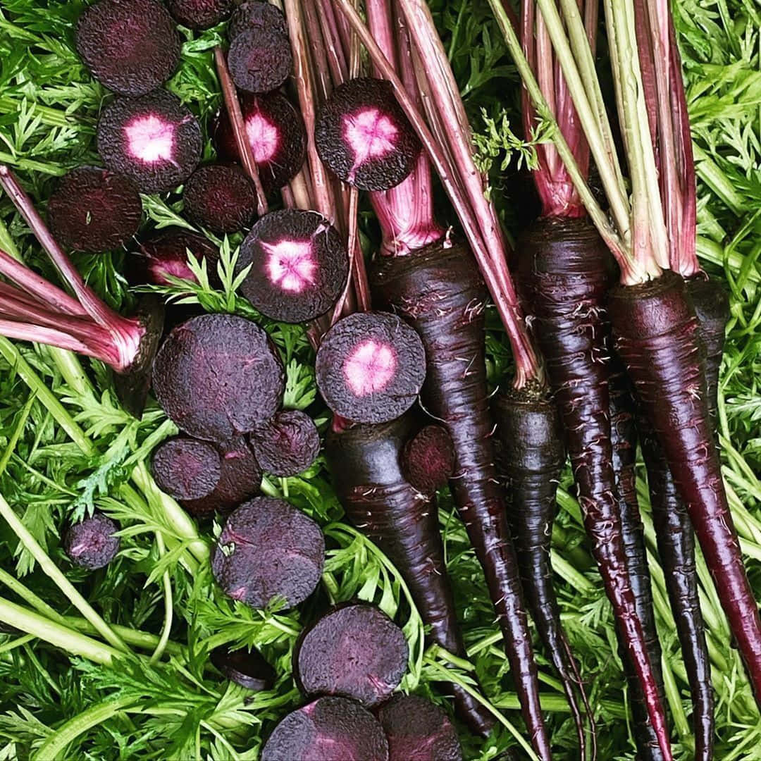 purple carrots, dark purple beets, vibrant pink centers, SD Desktop Wallpaper