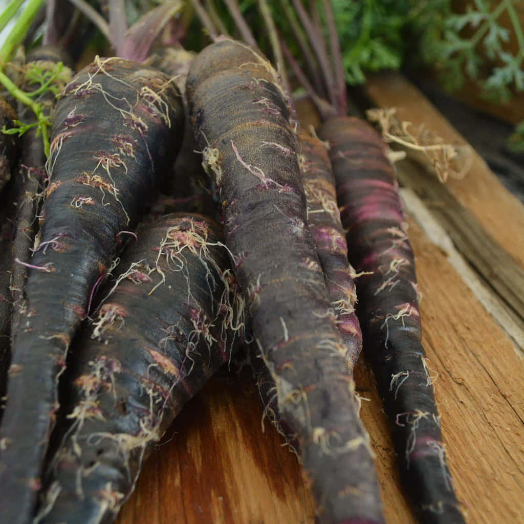 Purple Carrots, dark purple carrots, earthy roots, SD Desktop Wallpaper