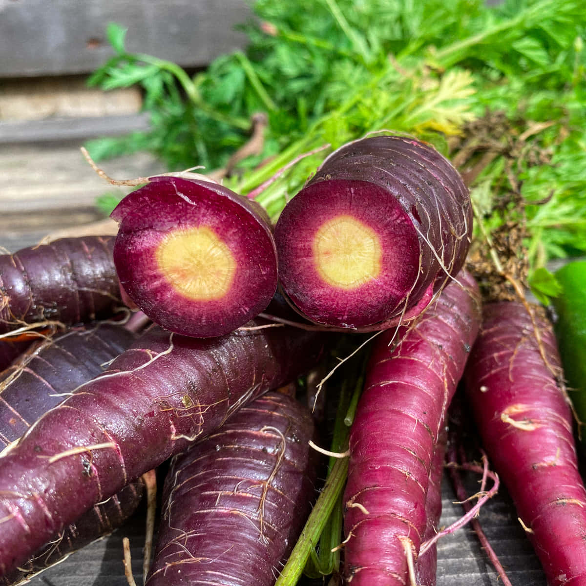 Purple Carrots, fresh purple carrots, vibrant yellow centers, SD Desktop Wallpaper