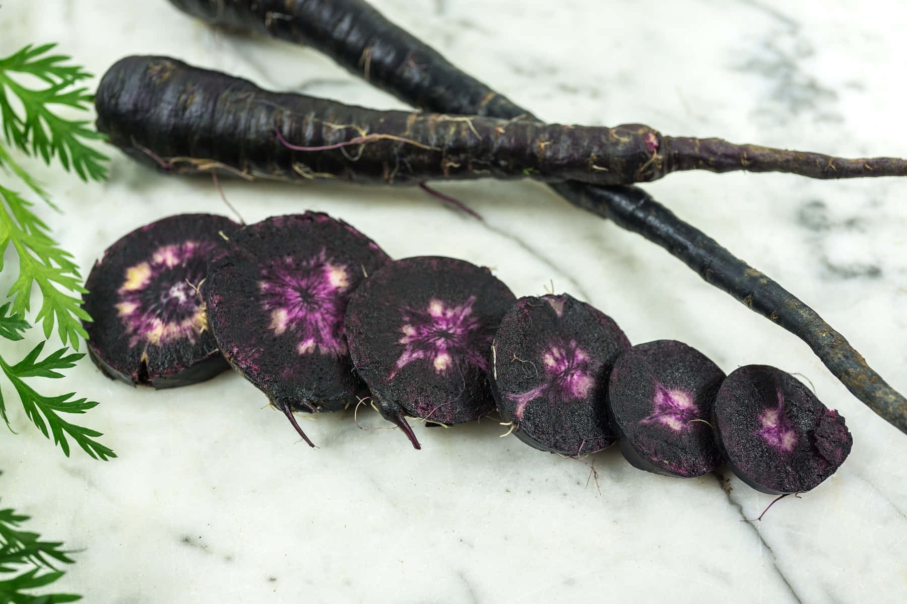 Purple Carrots, black carrots, vibrant purple interiors, HD Desktop Wallpaper