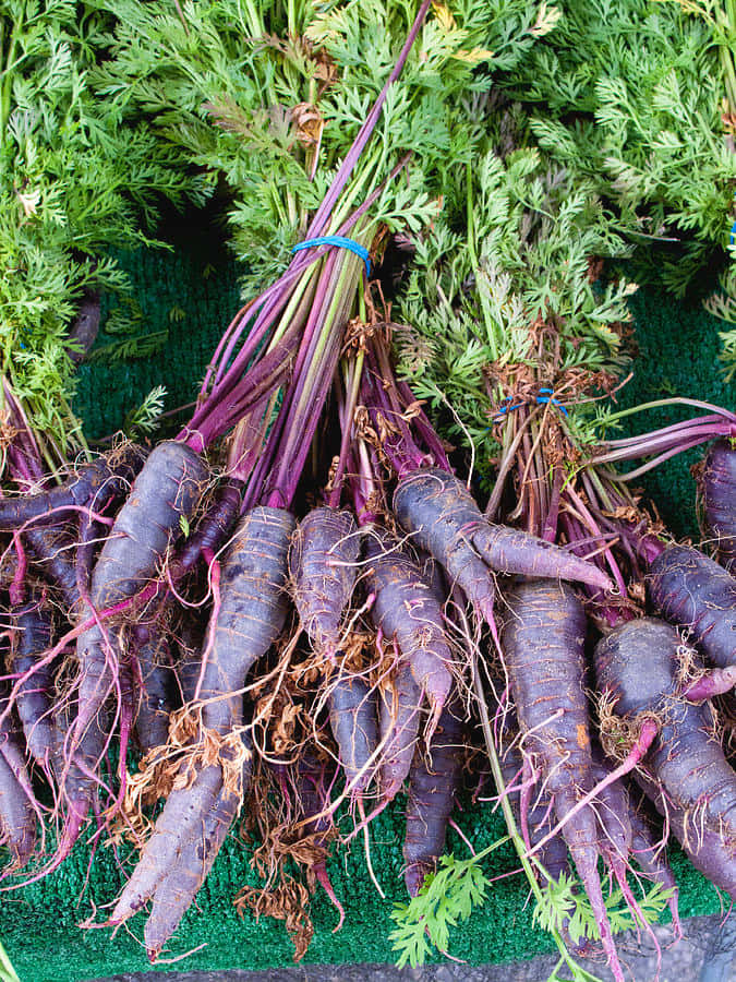 Purple Carrots, green market mat, feathery green tops, SD Phone Wallpaper